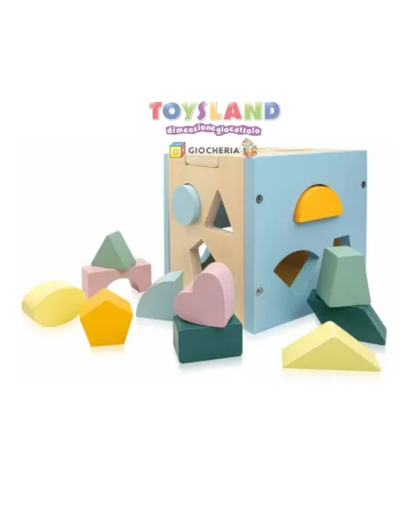 CUBO DELLE FORME (306844)