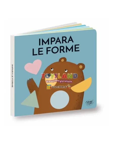 CUBO DELLE FORME (306844)