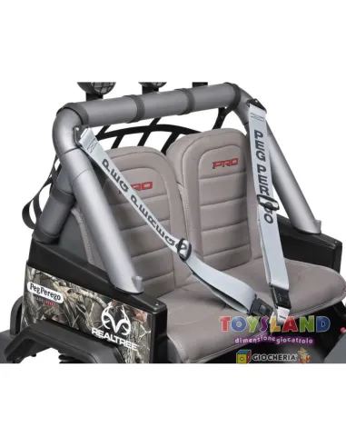 AUTO ELETTRICA 24V GAUCHO PRO REALTREE (OD0602)