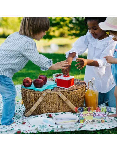 PINOCCHIO (FFR10012)