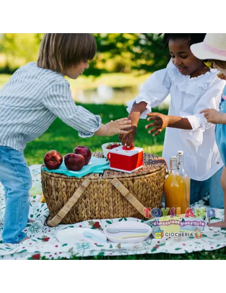 PINOCCHIO (FFR10012)