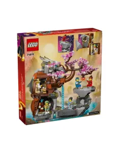 LEGO NINJAGO Santuario della pietra del drago 2