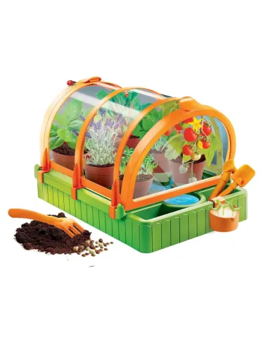 SCIENZA NELLA SERRA (19393)