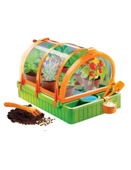 SCIENZA NELLA SERRA (19393)