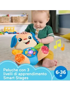 CAGNOLINO SMART STAGES (JFD26) 2