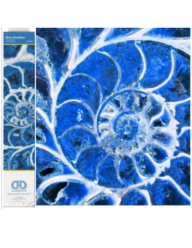 BLUE NAUTILUS (DD9.057)