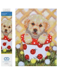 PUP IN POT (DD7.013)