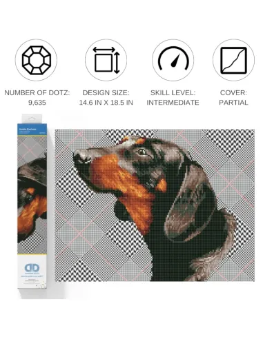 NOBLE DACHSIE (DD7.033)