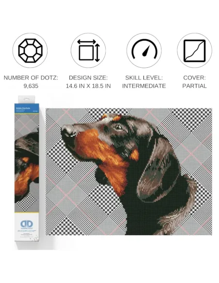 NOBLE DACHSIE (DD7.033)