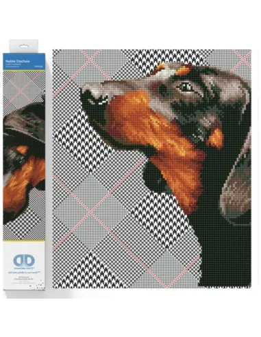 NOBLE DACHSIE (DD7.033)