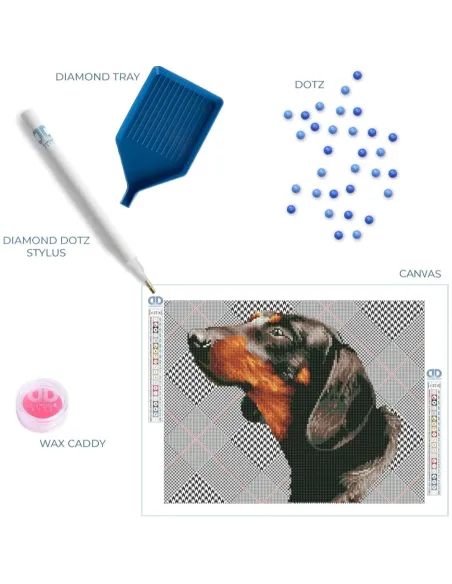 NOBLE DACHSIE (DD7.033)