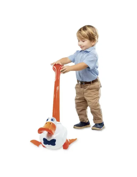 PAPERA CAMMINANTE (1377184)