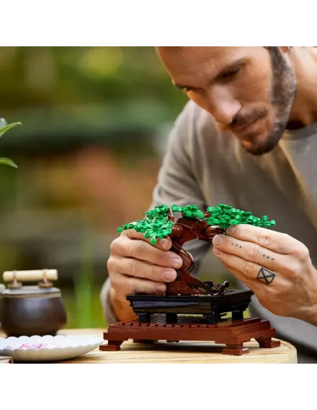LEGO Botanicals Albero Bonsai