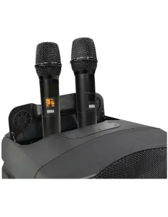 Bontempi FA 120 altoparlante portatile e per feste... 2