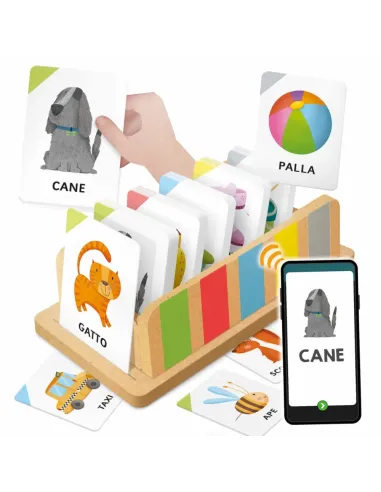 COFANETTO DELLE FLASHCARDS (IT61961)