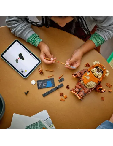 LEGO Star Wars Wicket™ l'Ewok