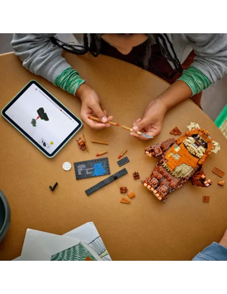 LEGO Star Wars Wicket™ l'Ewok