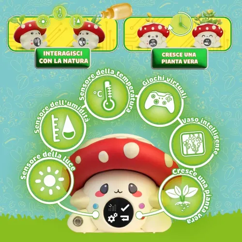 DISPLAY FUNGIPOT (800014460 GAD00000)