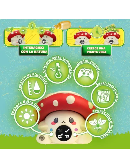 DISPLAY FUNGIPOT (800014460 GAD00000)