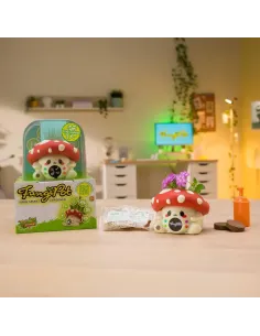 DISPLAY FUNGIPOT (800014460 GAD00000) 2