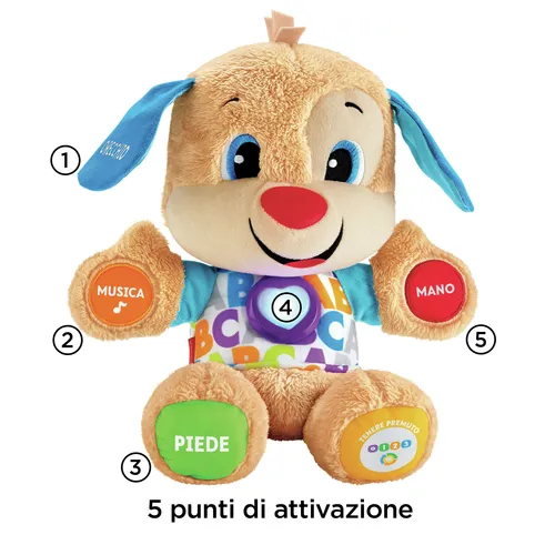 CAGNOLINO SMART STAGES (FPM51)