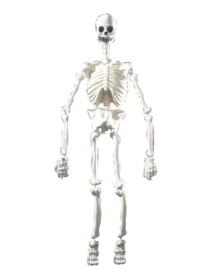 CIAO Scheletro PVC H. Cm.100