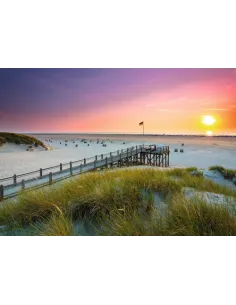 Ravensburger 00.019.877 Puzzle 1000 pz Landscape 2