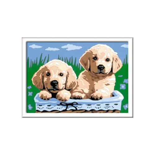 Ravensburger CreArt Colore per kit di...