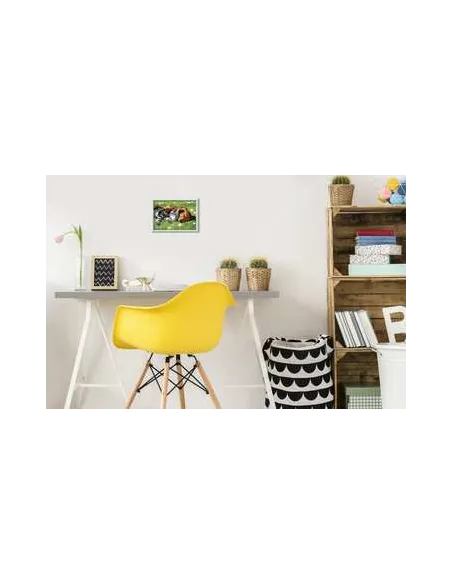 Ravensburger CreArt Sleeping Cats and Dogs Colore per kit di verniciatura in base ai numeri