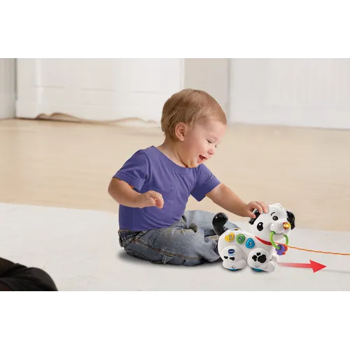 VTech Baby Macchia - 1,2,3, Canta e Cammina con...