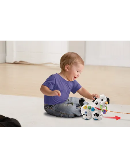 VTech Baby Macchia - 1,2,3, Canta e Cammina con me!