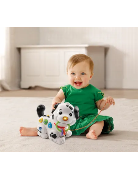 VTech Baby Macchia - 1,2,3, Canta e Cammina con me!