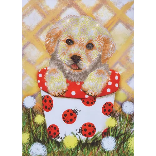 Diamond Dotz Pup In Pot