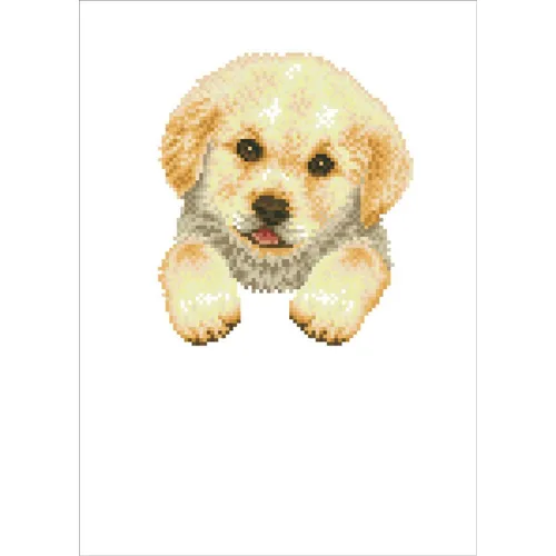 Diamond Dotz Pup In Pot