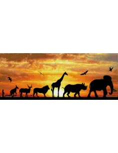 Diamond Dotz African Sky