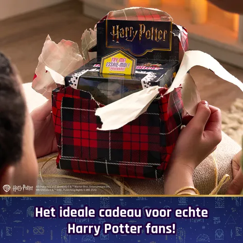 Wizarding World Bitzee Harry Potter, il tuo...