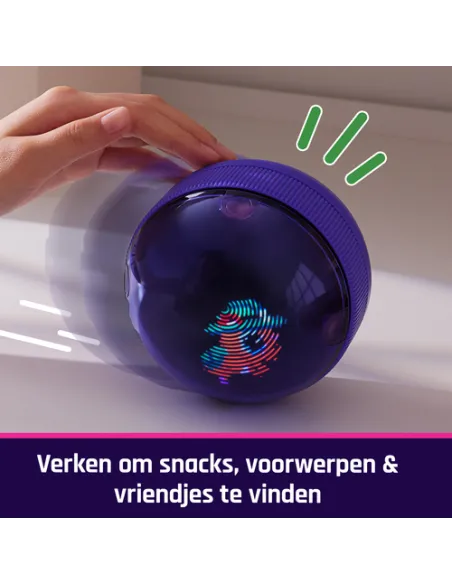 Bitzee , Il tuo Criceto Interattivo, Hamster Ball con oltre 20 criceti all'interno da collezionare, rotola e reagisce al tocco, 