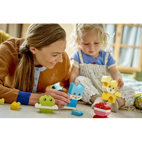 LEGO DUPLO 10477 Animali Domestici Creativi 3...