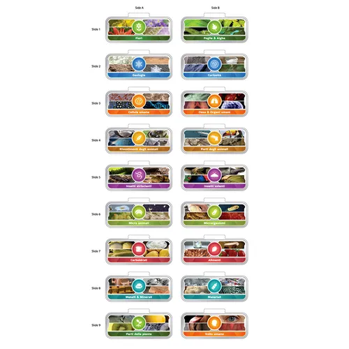 VTech Video microscopio interattivo