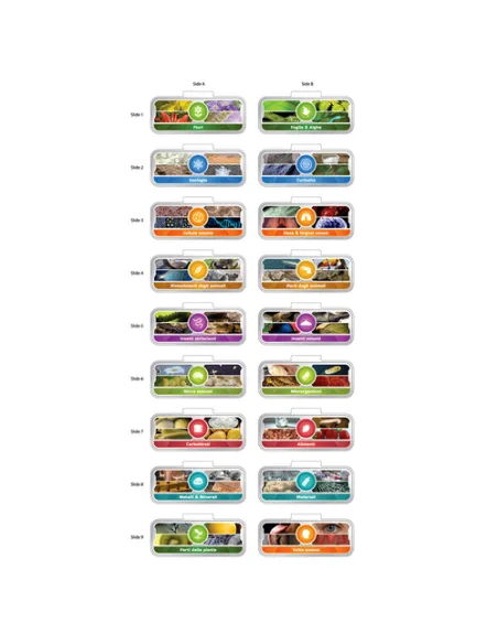 VTech Video microscopio interattivo