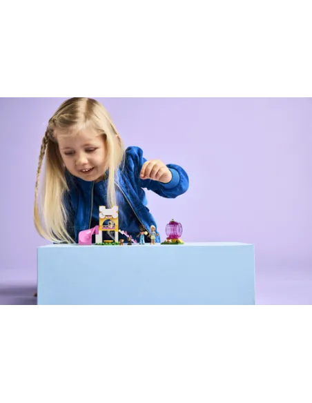 LEGO Friends Il parco giochi dei cuccioli