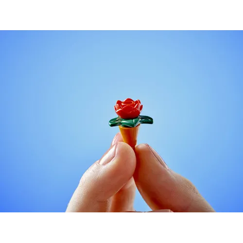 LEGO Friends Caffè delle piante e Negozio di fiori