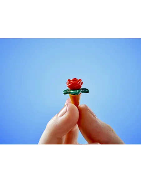 LEGO Friends Caffè delle piante e Negozio di fiori