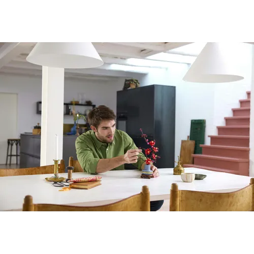 LEGO Botanicals 10369 Albicocco Giapponese,...