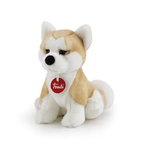 TRUDI AKITA ASCANIO S (22663)