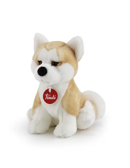 TRUDI AKITA ASCANIO S (22663)