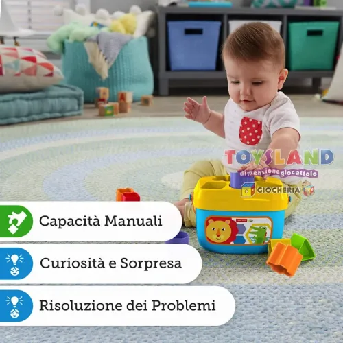 BLOCCHI ASSORTITI (FFC84)