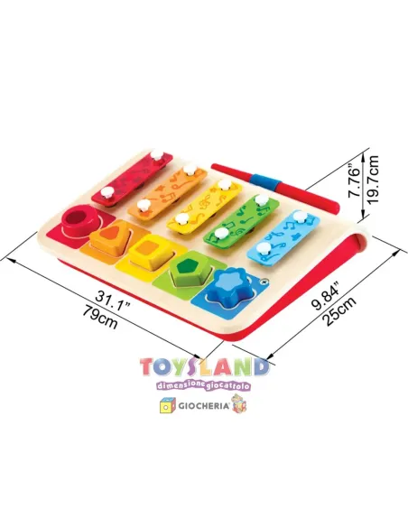 XILOFONO Con SCELTA DELLE FORME (E0334)