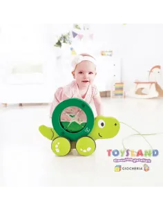 TARTARUGA DA TRAINARE (E0354) 2