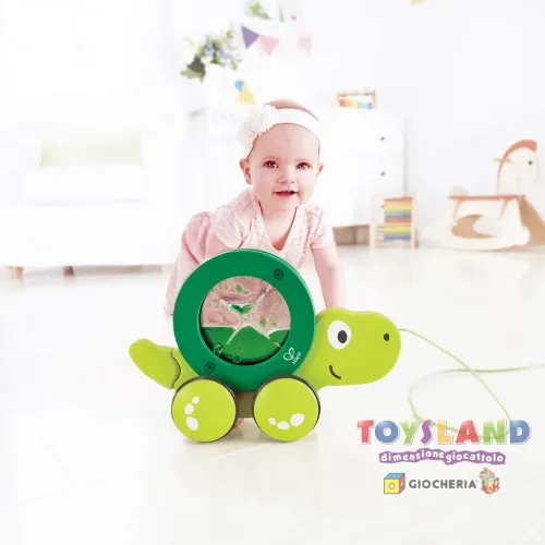 TARTARUGA DA TRAINARE (E0354)